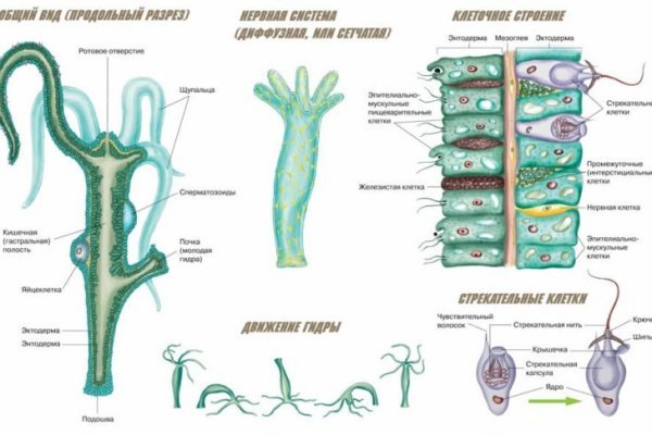 Kraken актуальные ссылки официальный сайт