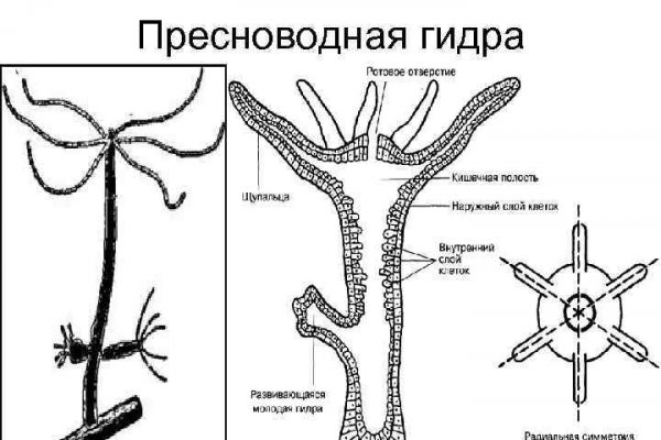 Кракен маркетплейс нарко